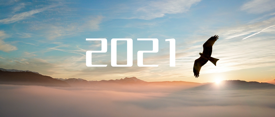 乘“峰”而上，智“盈”未来 ——2021年YABO鸭脖环境高级资深副总裁新年开工动员